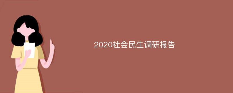 2020社会民生调研报告