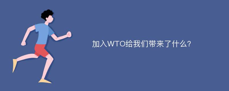 加入WTO给我们带来了什么？