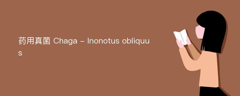 药用真菌 Chaga - Inonotus obliquus